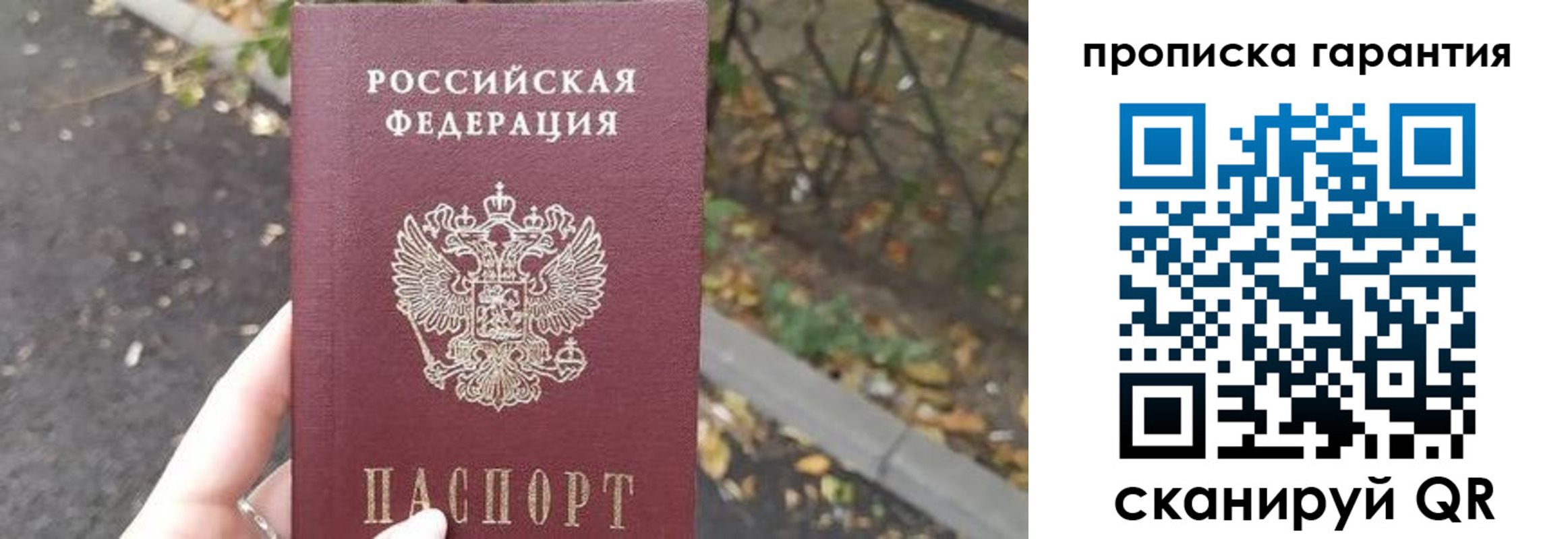 где прописаться в Сураже